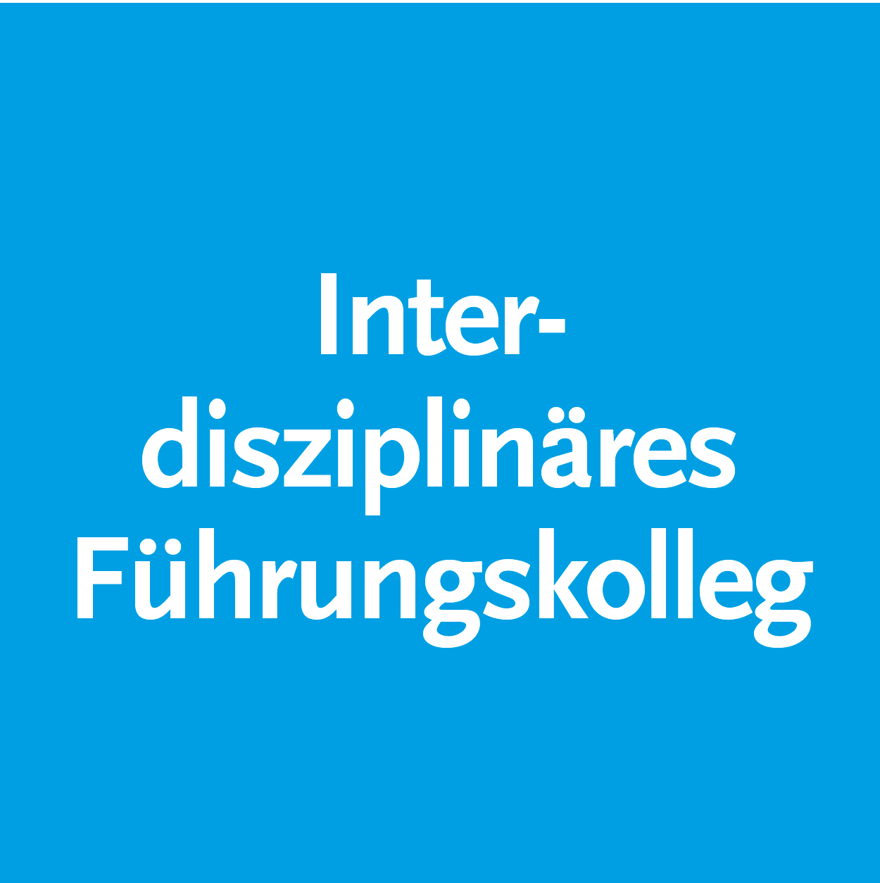 Interdisziplinäres Führungskolleg