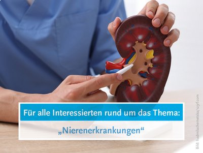 Hand hält ein Nierenmodell und zeigt mit einer Stab auf eine Stelle.