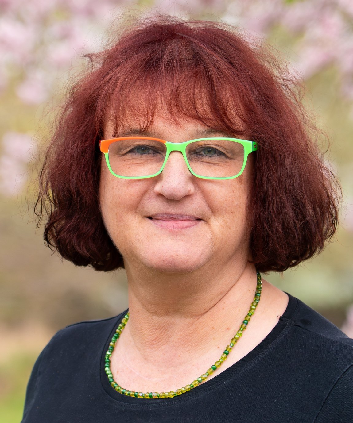Birgit Völlm